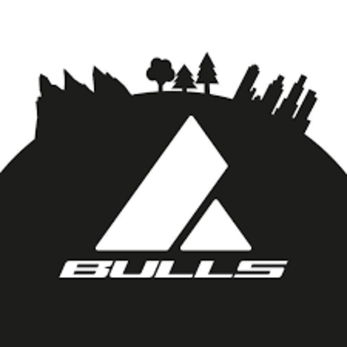 Logo Bulls